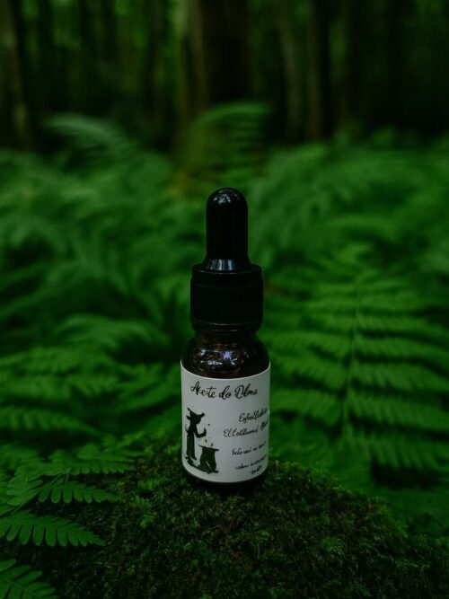 Aceite de Olmo