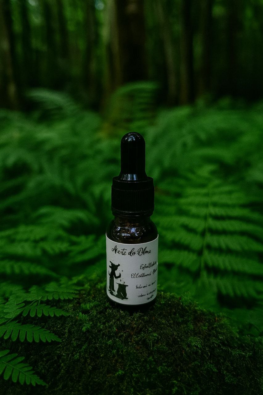 Aceite de Olmo